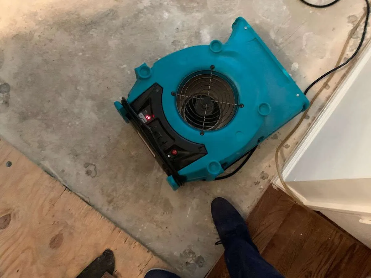 Air mover drying subfloor during Leak Detection & Repair in Holbrook